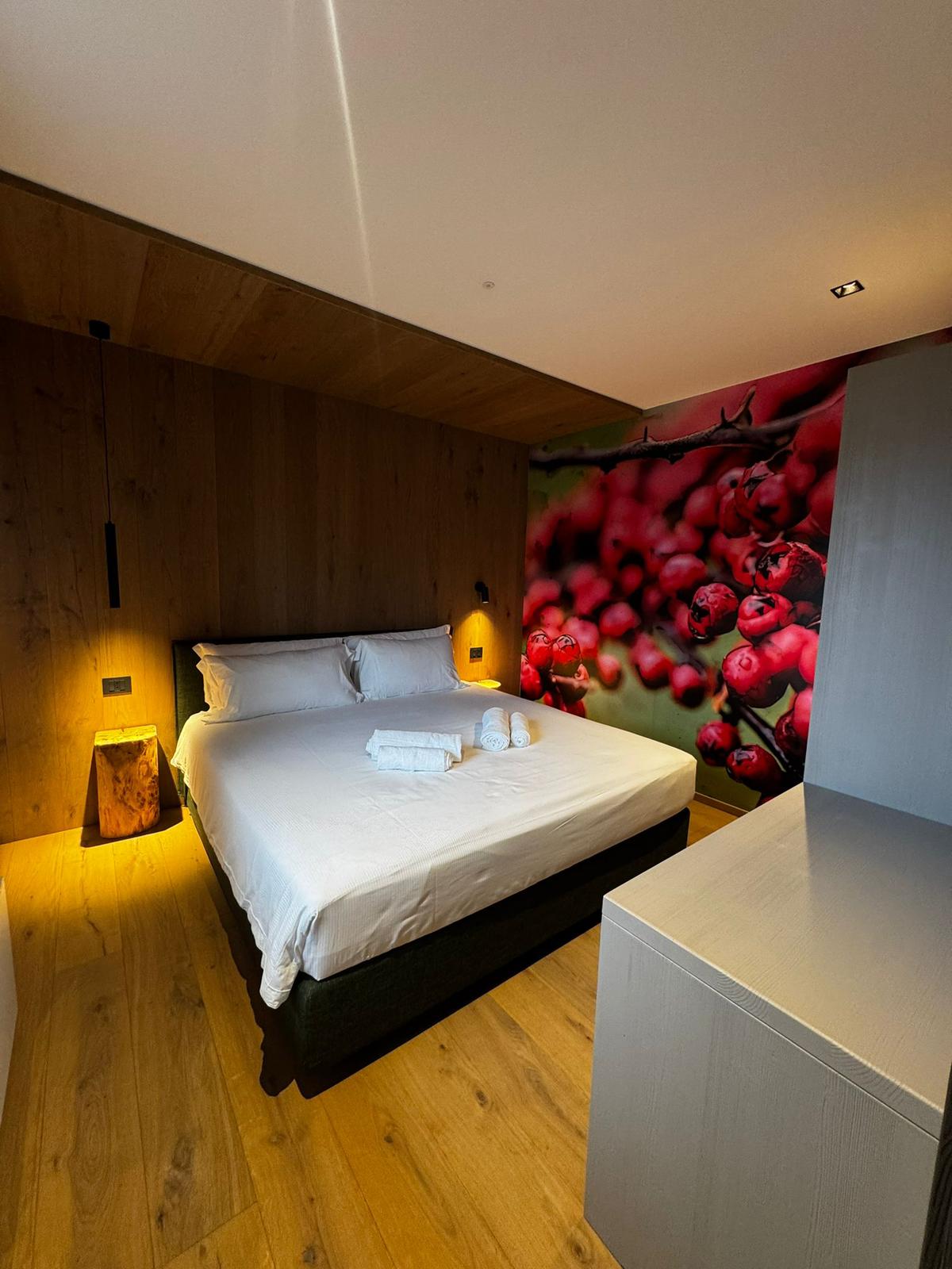 Wellness apartmán na Zoncolanu v La Dâne - 4