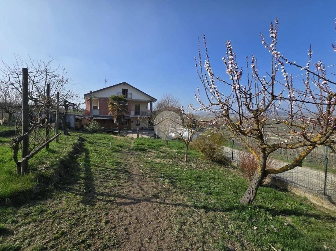 Panoramatická vila nad vinicemi v Castiglione Tinella